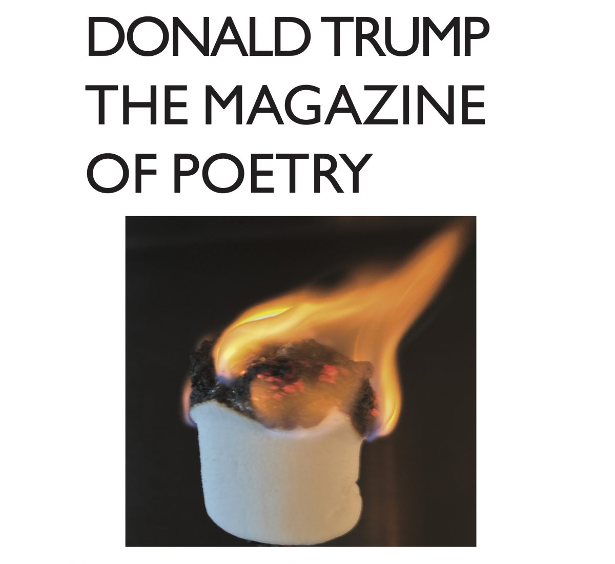 Donald Trump The Magazine Of Poetry – TEMPORARY CULTURE